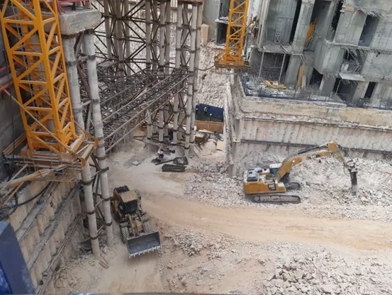 פרויקט עץ חיים. צילום: אברהם פולק. כל הזכויות שמורות