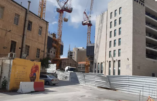 פרויקט עץ חיים. צילום: אברהם פולק. כל הזכויות שמורות
